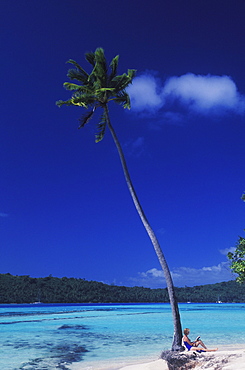 Person sitting against a coconut palm tree, Hawaii, USA