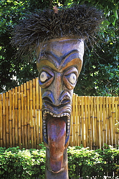 Close-up of a totem pole, Hawaii, USA