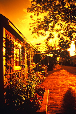 Street in front of a house, Cape Cod, Massachusetts, USA 