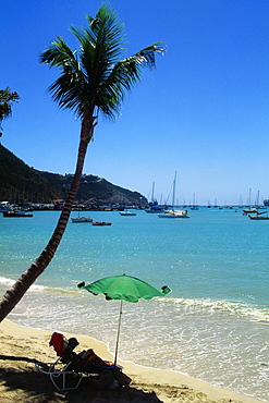 Side view of a beach having palm trees, St, Maarten, Caribbean