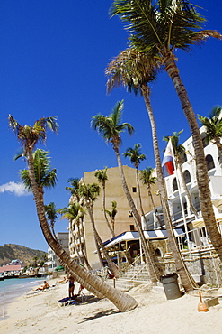 Side view of a beach having palm trees, St. Maarten, Caribbean