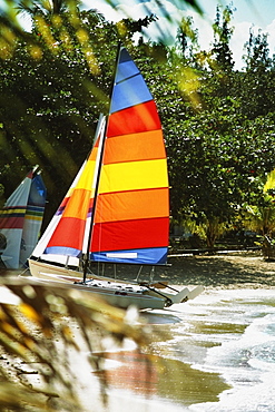 Side view of brightly colored sails on windsurf boards, Jamaica