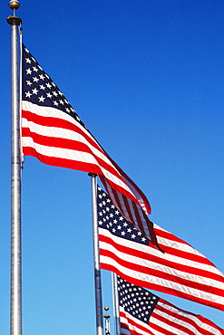 Low angle view of American flags fluttering, Washington DC, USA