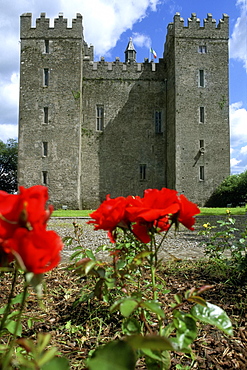 Low angle view of a castle, Bunratty Castle, Clare, Republic of Ireland