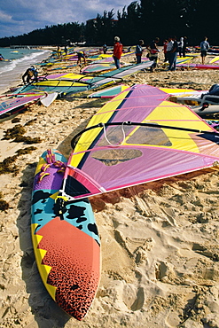 High angle view of colorful surfboards on a beach, Nassau, Bahamas