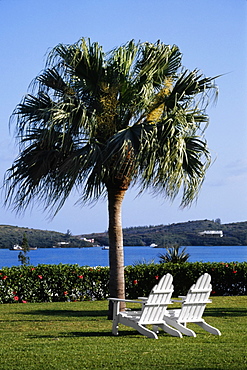 Two armchairs placed near a tree, Grotto bay, Bermuda