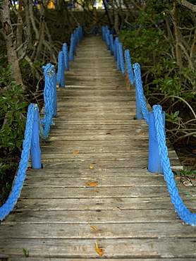 High angle view of a footbridge