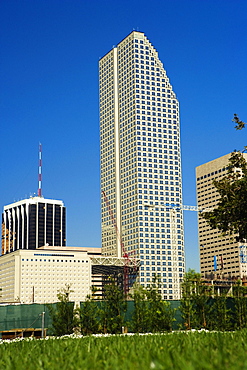 Low angle view of buildings in a city, Miami, Florida, USA