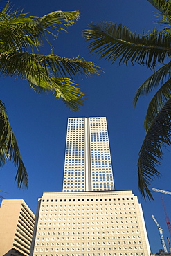 Low angle view of a building, Miami, Florida, USA