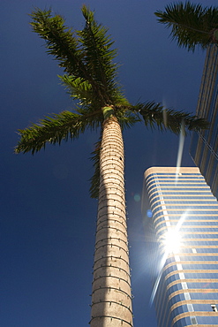 Low angle view of a skyscraper, Miami, Florida, USA