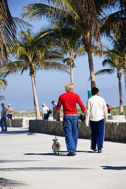 Rear view of two men walking with a dog on the beach, Miami Beach, Florida, USA