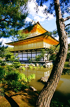 Pond in front of a temple, Golden Pavilion, Kyoto, Japan