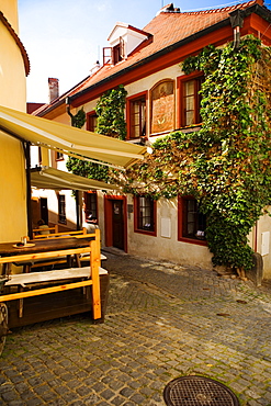 Rear view of a person sitting on a bench, Czech Republic