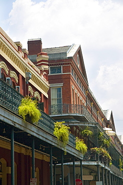 Low angle view of a building, New Orleans, Louisiana, USA