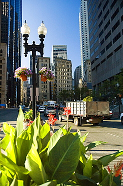 Skyscrapers on both sides of the road, Boston, Massachusetts, USA