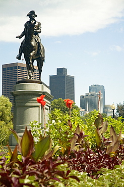 Low angle view of a statue in the garden, Boston, Massachusetts, USA