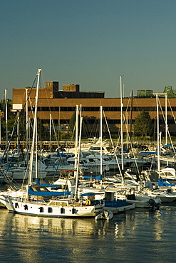 Boats docked at the harbor, Boston, Massachusetts, USA