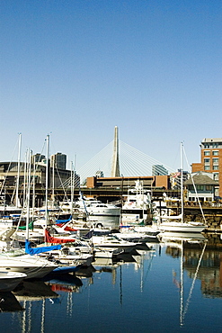 Boats docked at the harbor, Boston, Massachusetts, USA