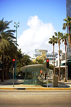 Stoplight on the road, Miami, Florida, USA