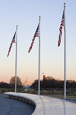 Low angle view of three American flags, Washington DC, USA