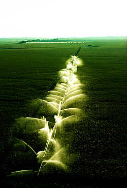 Wide shot of field with Center pivoit irrigation in Nebraska