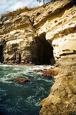 Low angle view of a cliff, La Jolla Reefs, San Diego Bay, California, USA