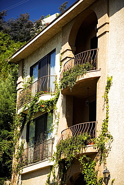 Low angle view of balconies covered in ivy, California, USA