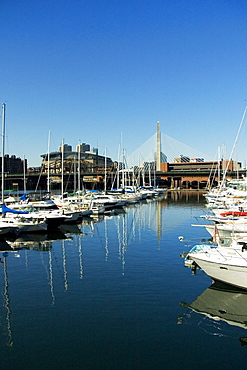 High angle view of yachts docked at a harbor, Boston, Massachusetts, USA