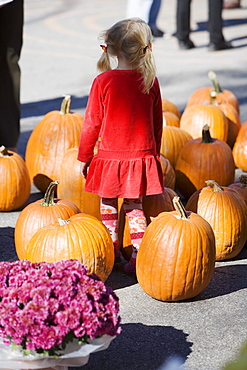 Rear view of a girl standing with a heap of pumpkins