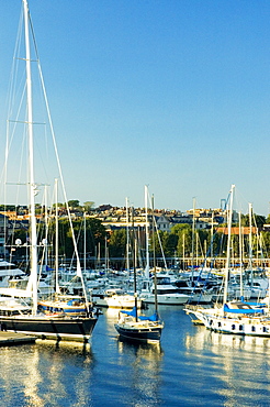 Boats docked at a harbor, Boston, Massachusetts, USA