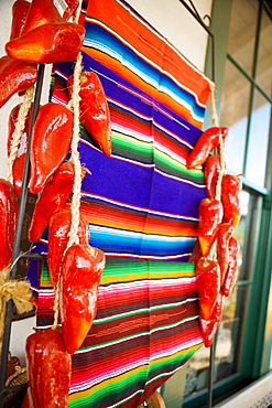 Close-up of a blanket hanging in the middle of artificial chilies, San Diego, California, USA