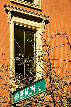 Low angle view of street sign, Boston, Massachusetts, USA