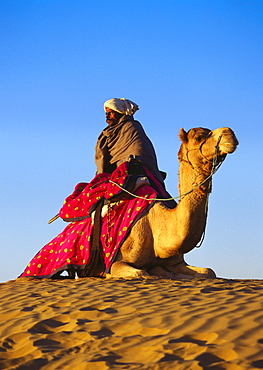 Low angle view of a mid adult man riding a camel in a desert, Rajasthan, India