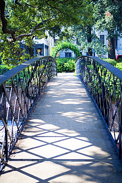 Entrance of a footbridge covered with ivy, Savannah, Georgia, USA