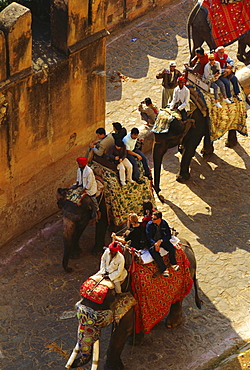 High angle view of tourists on elephants, Jaipur, Rajasthan, India