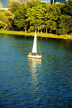 Sailboat on a river, Boston, Massachusetts, USA