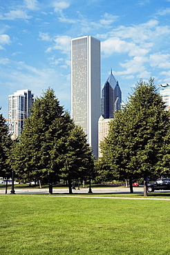 Trees in a park, Gateway Park, Chicago, Illinois, USA