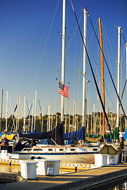 Boats moored at a harbor