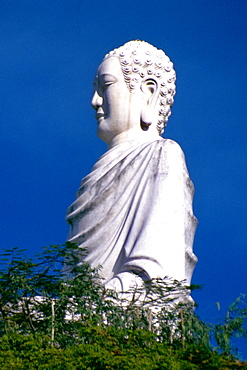 Low angle view of a statue of Buddha