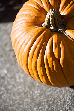 High angle view of a pumpkin