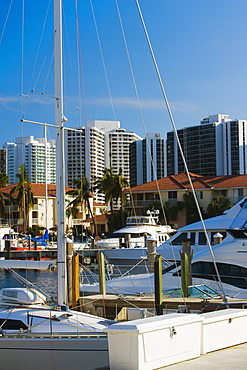 Boats docked at a harbor