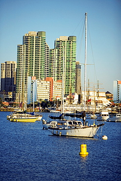 Side profile of yacht's docked at a harbor, San Diego Bay, California, USA