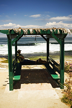 Side profile of a man and his dog sitting in a gazebo, La Jolla, San Diego, California, USA