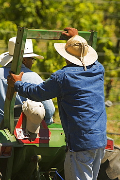 Rear view of two farmers on a tractor