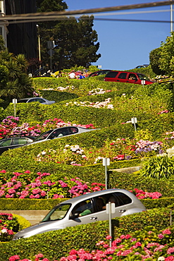 Low angle view of Lombard Street, San Francisco, California, USA