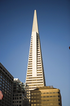 Low angle view of a building, Transamerica Pyramid, San Francisco, California, USA