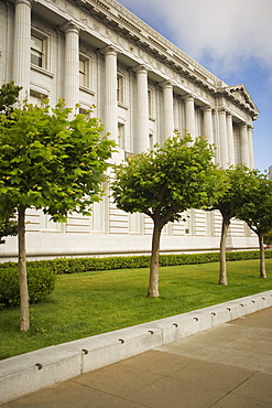 Trees in front of a building, City Hall, San Francisco, California, USA