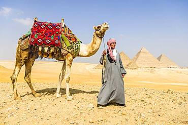 Three pyramids, tombs of the pharaohs Khufu, Khafre, and Menkaure, a tourist guide holding a camel