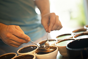 The sampling procedure in a coffee processing shed, where staff make coffee in small pots and sample the taste to test the blend, New York state, USA