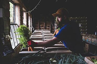 Farmer standing in a farm shop, packing fruit and vegetable boxes.